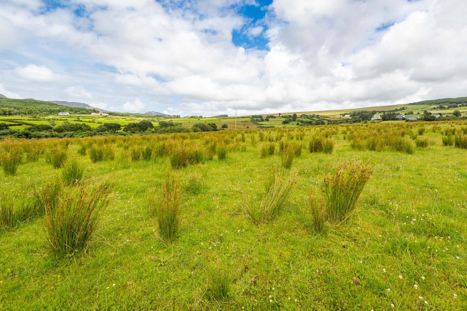 Lot 2 Gortleck Land 10 of 27