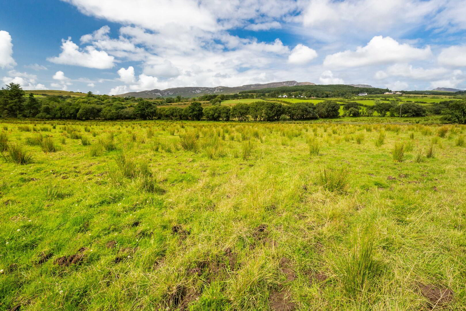 Lot 2 Gortleck Land 11 of 27