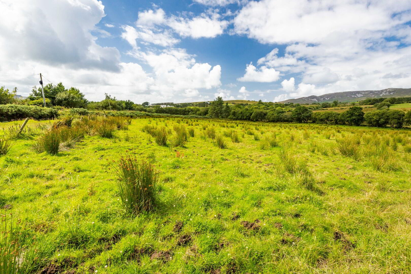 Lot 2 Gortleck Land 12 of 27
