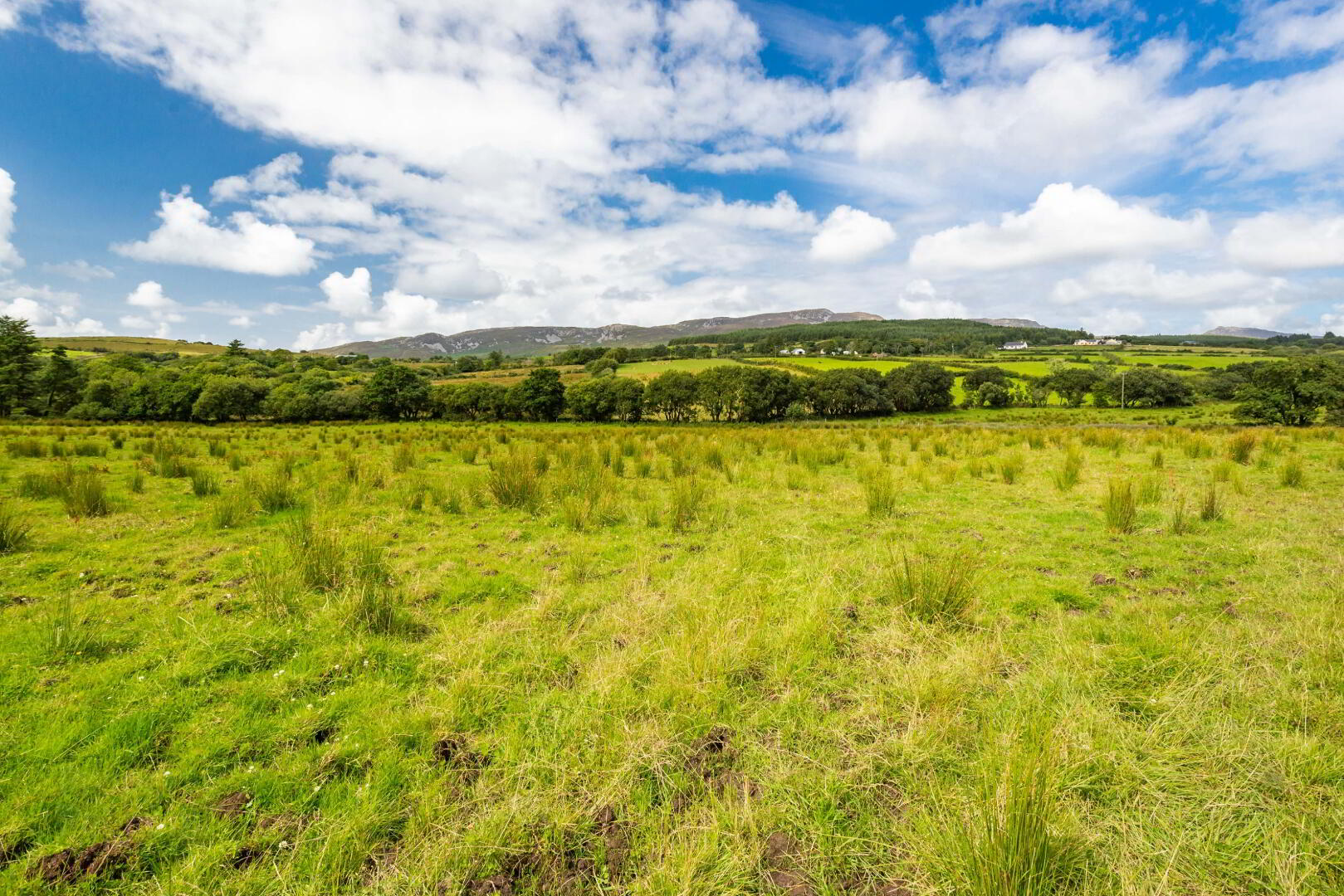 Lot 2 Gortleck Land 13 of 27