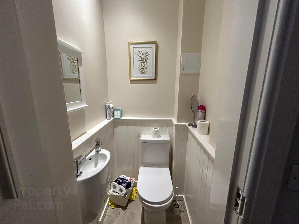 36 Primrose Terrace 13 of 14
