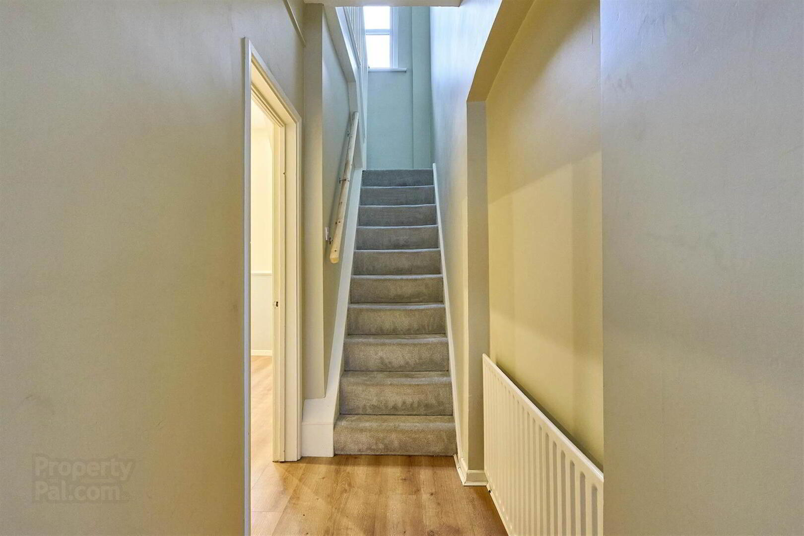 12 Cheviot Avenue 3 of 14