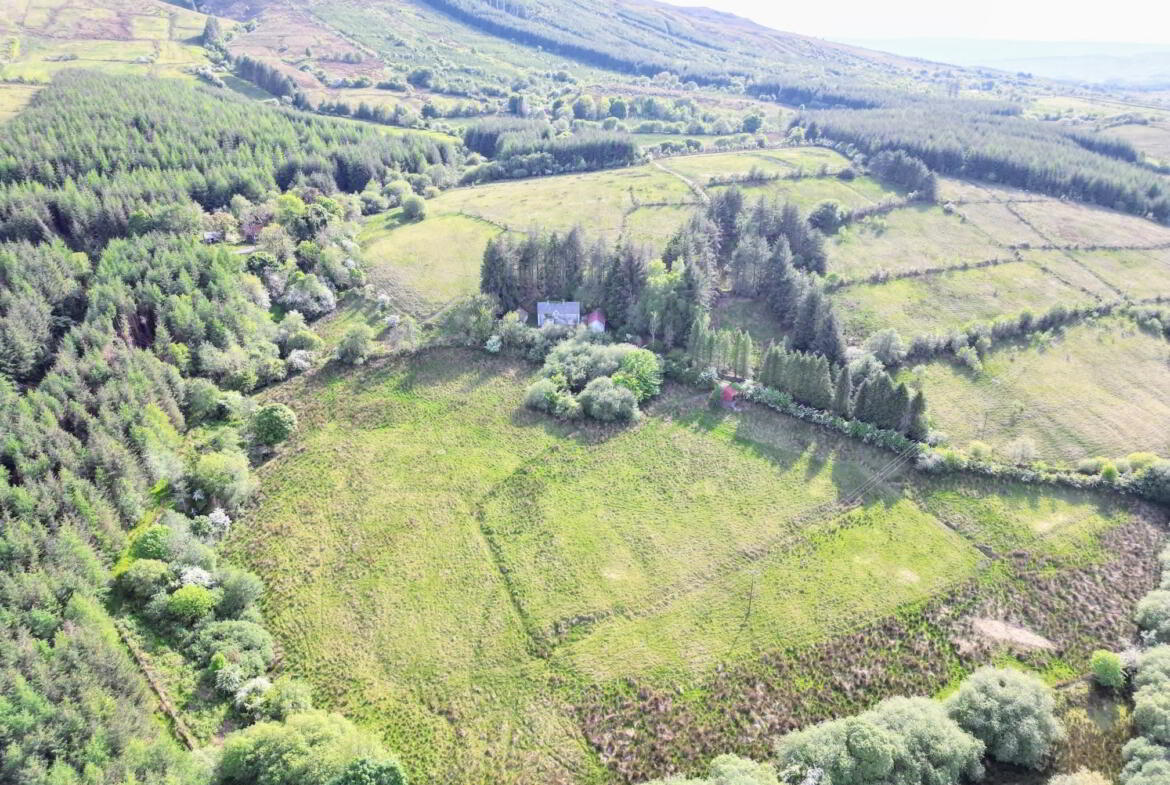 Coppanaghbane 3 of 5