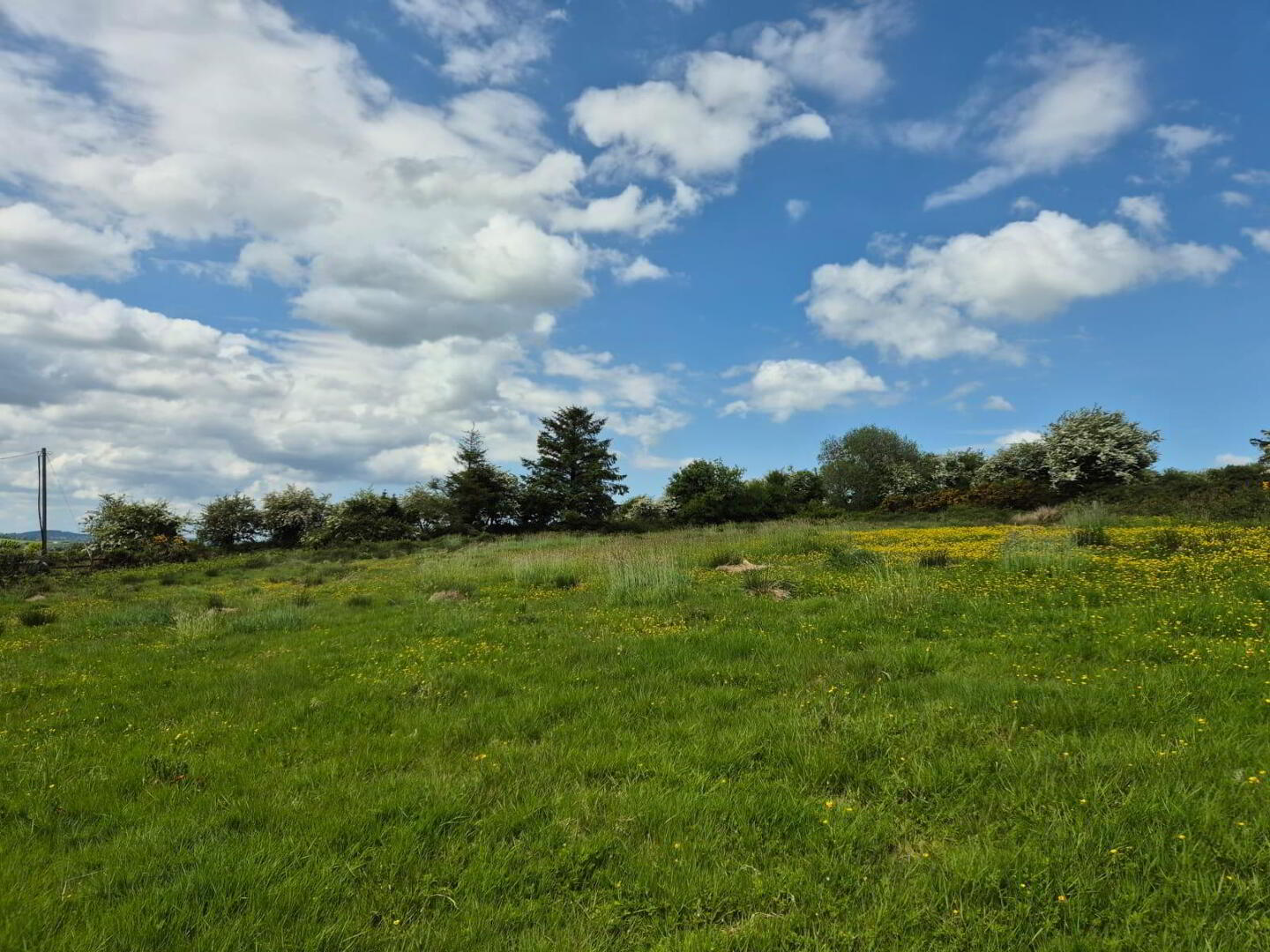 Meadow Hill 26 of 29