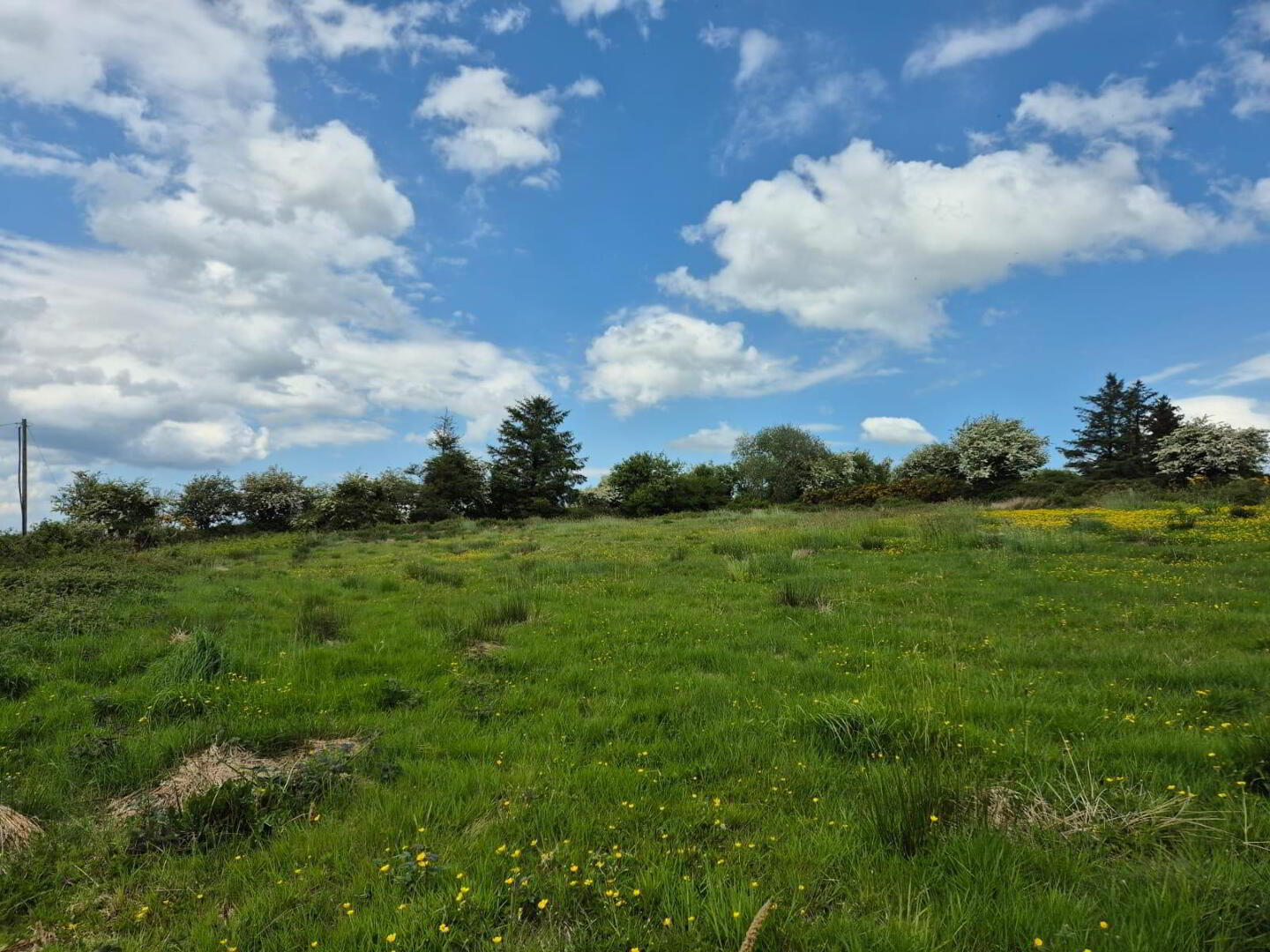Meadow Hill 27 of 29