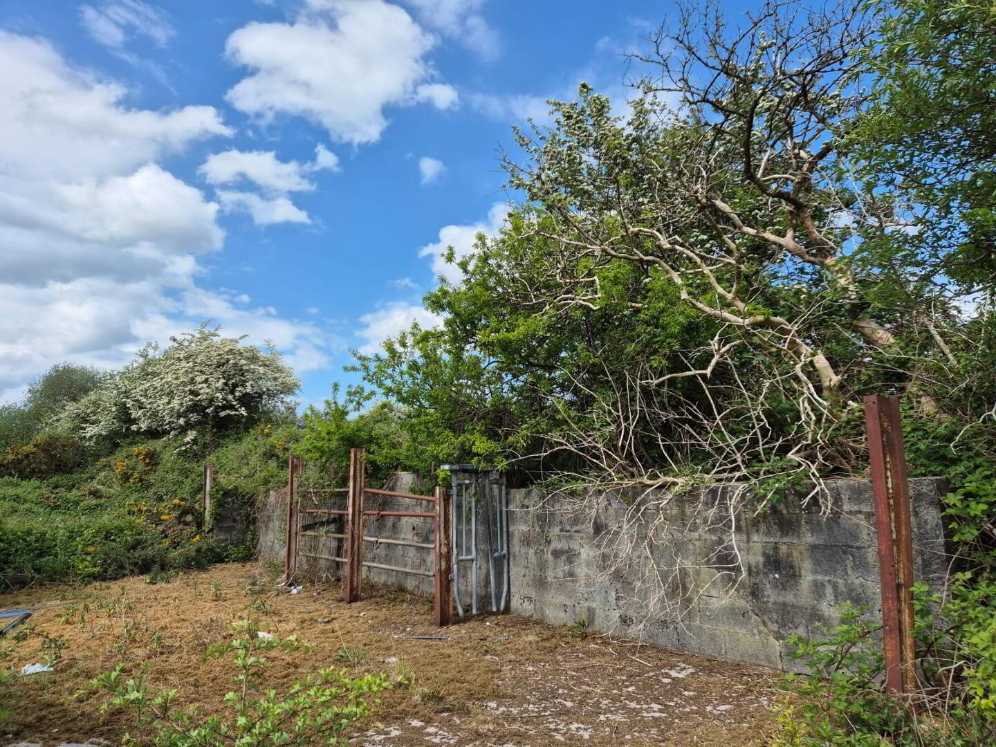Meadow Hill 29 of 29