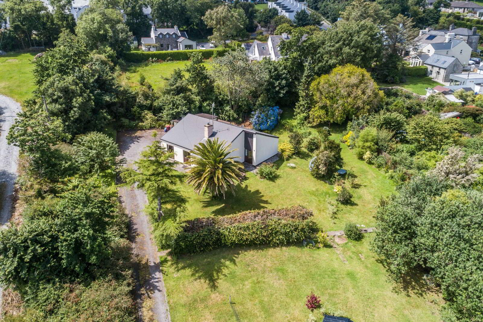 Summerfield 2 of 38