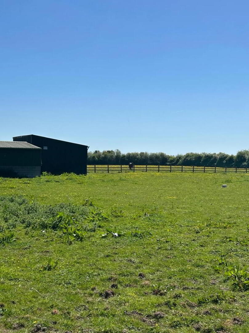 Lands At Waynestown, Approx, 7.37 Ha / 18 9 of 9