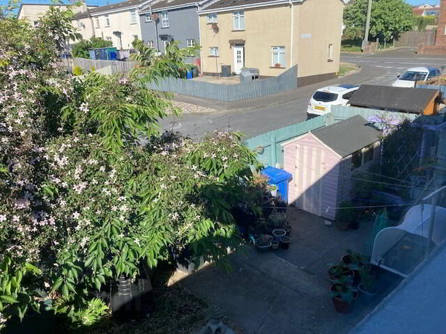 81 Newry Street 12 of 12