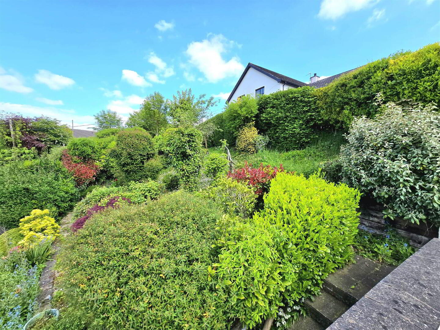 21 Millvale Road 58 of 69