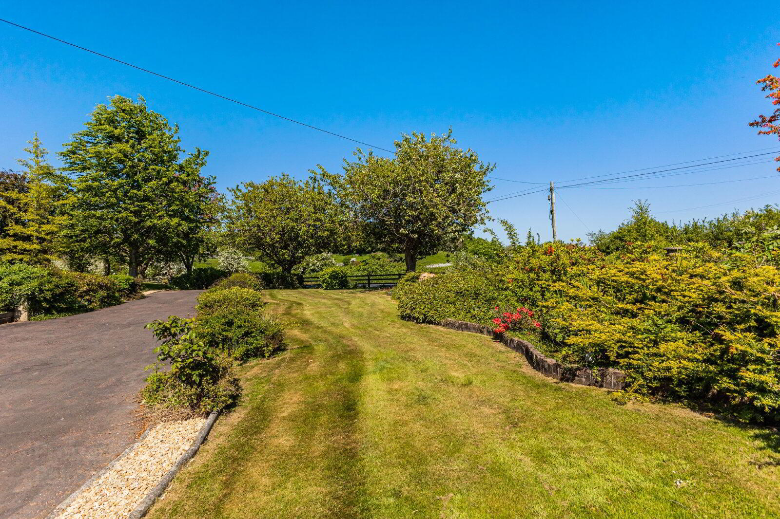 24 Crossgar Road East 33 of 33