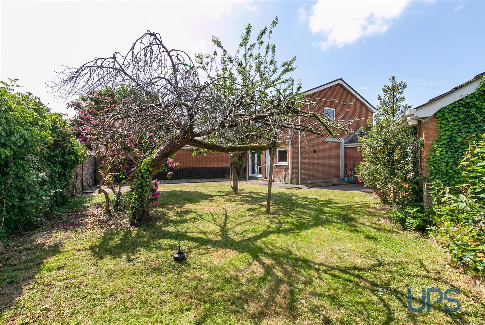 9 Parkley 21 of 23