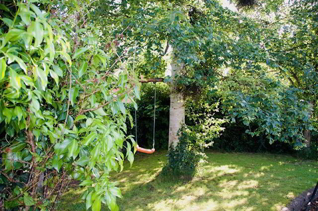 4 Forest View 25 of 27