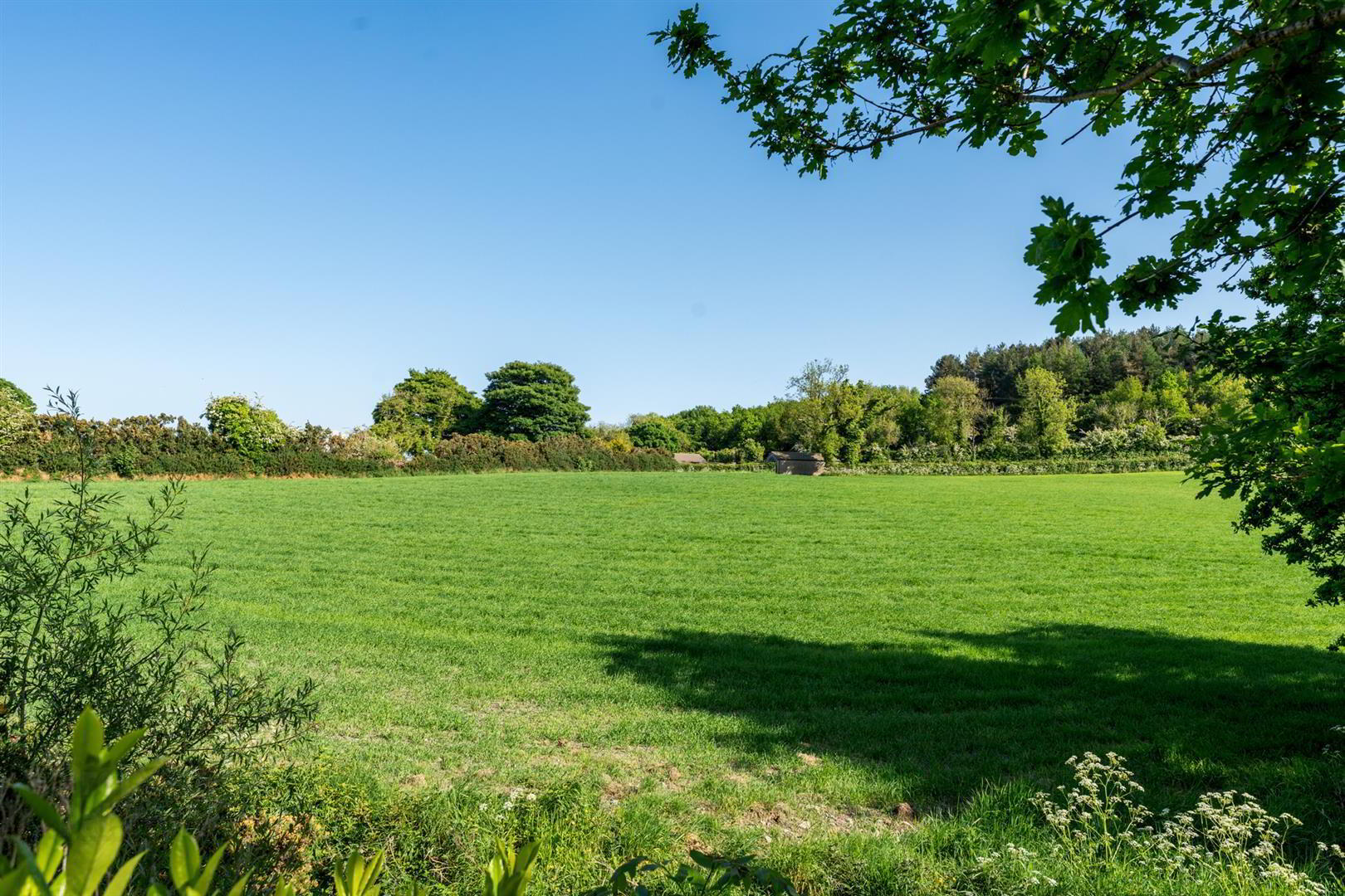5 Ballybarnes Meadow 26 of 26