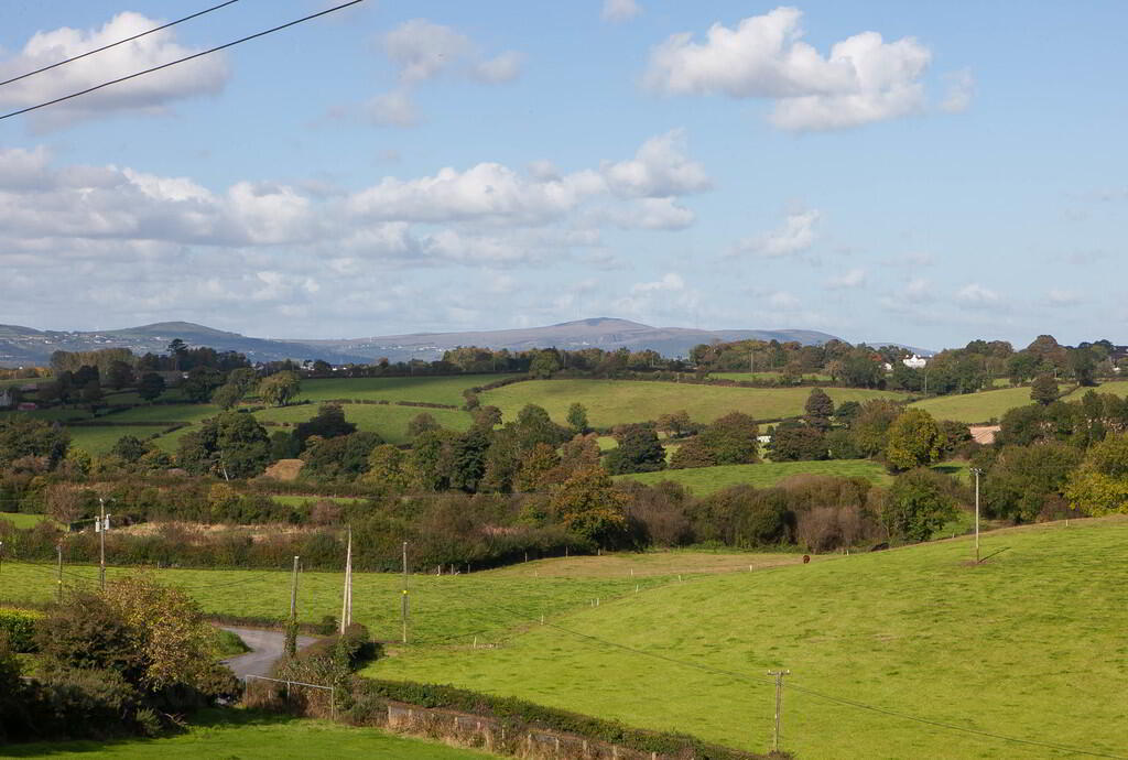 113 Comber Road 73 of 74