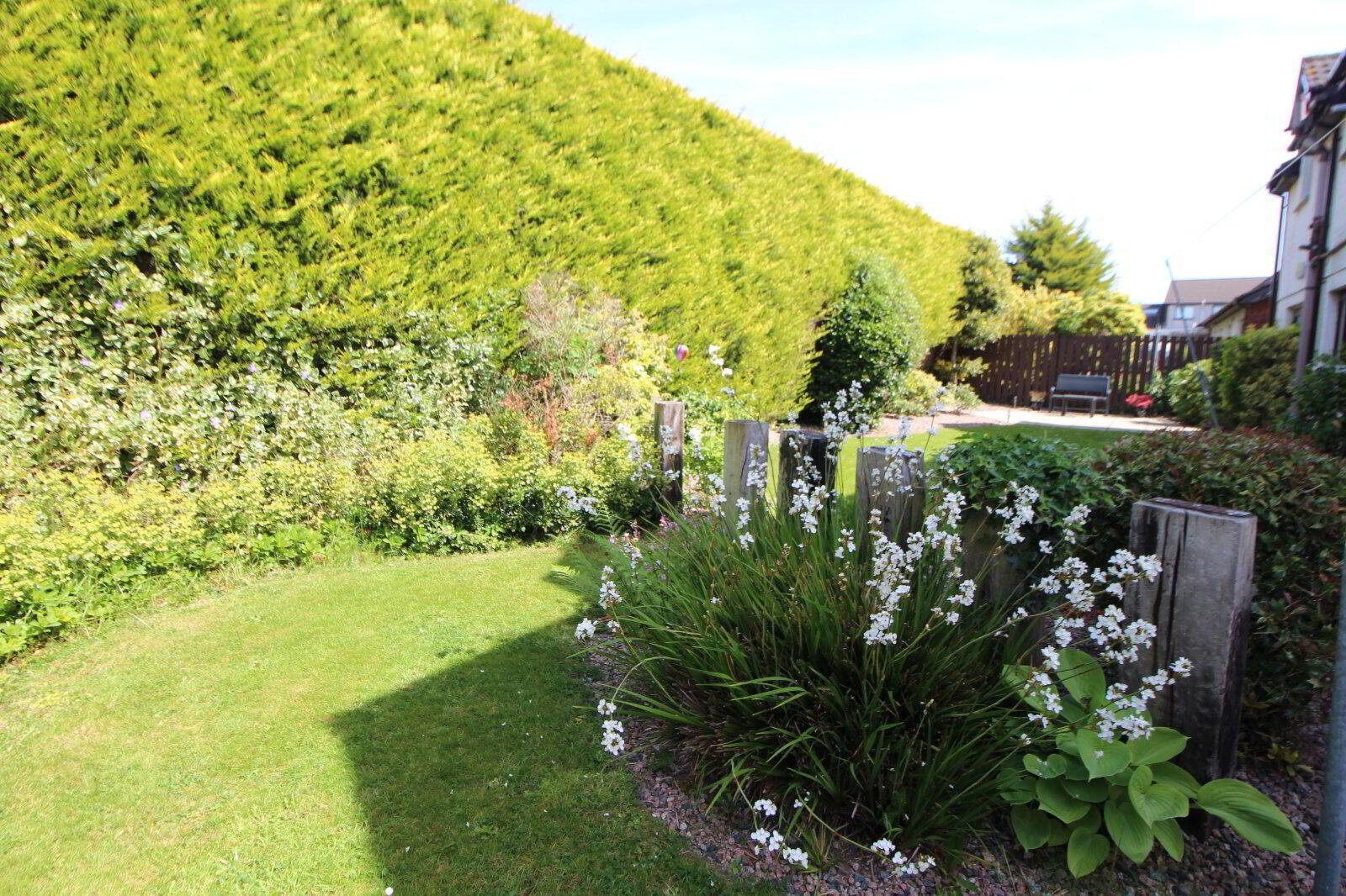 8 Harwood Park 16 of 18