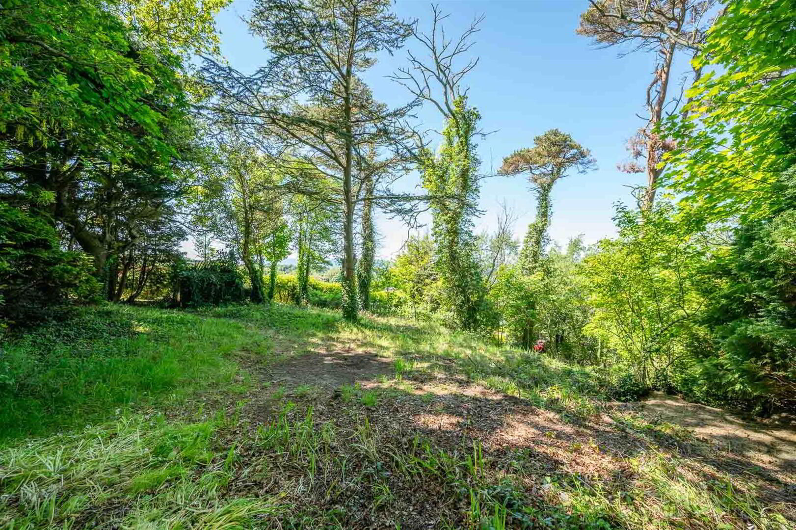 14 Rathmoyle Park 39 of 43