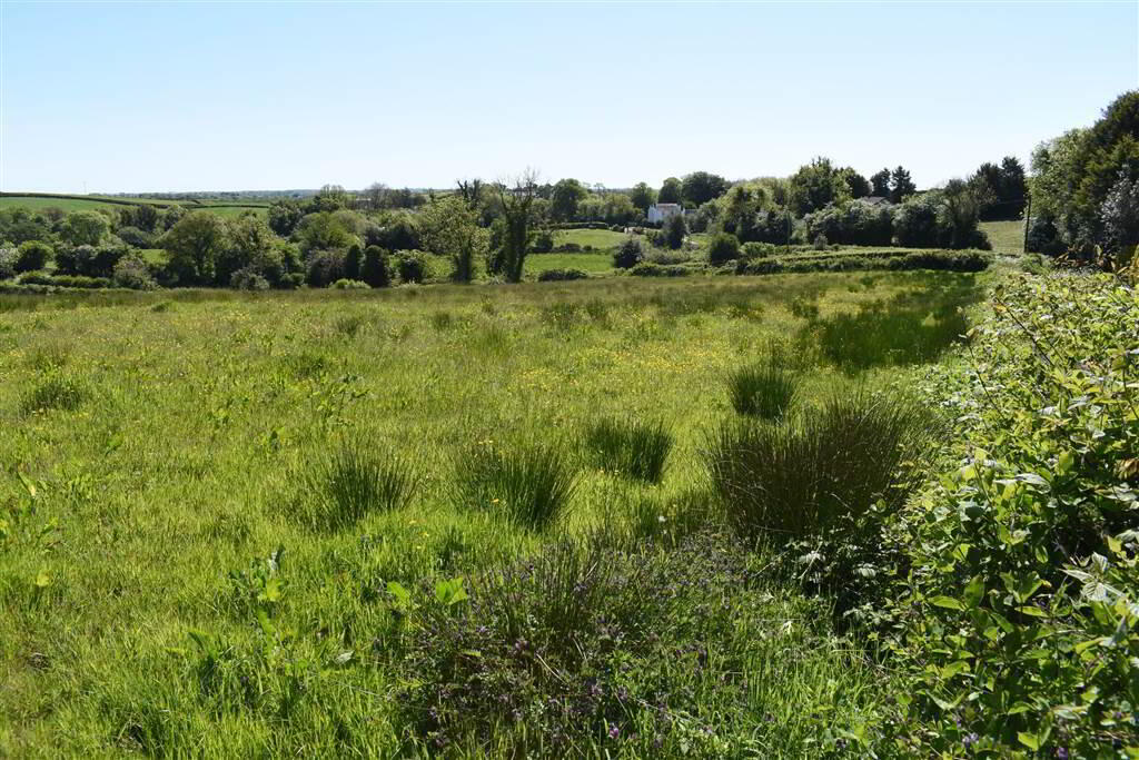 House & Over 3 Acres Of Land, 47 Tullygarvan Road 26 of 40