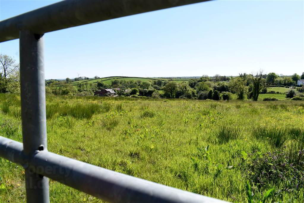 House & Over 3 Acres Of Land, 47 Tullygarvan Road 27 of 40
