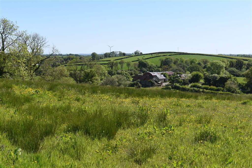 House & Over 3 Acres Of Land, 47 Tullygarvan Road 28 of 40