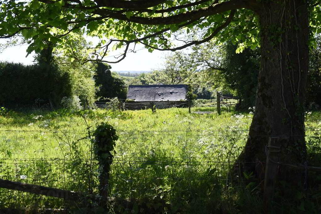 House & Over 3 Acres Of Land, 47 Tullygarvan Road 31 of 40