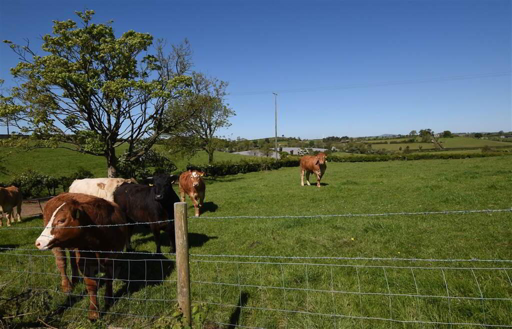 House & Over 3 Acres Of Land, 47 Tullygarvan Road 38 of 40