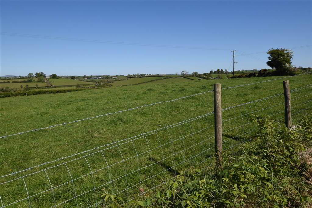 House & Over 3 Acres Of Land, 47 Tullygarvan Road 37 of 40