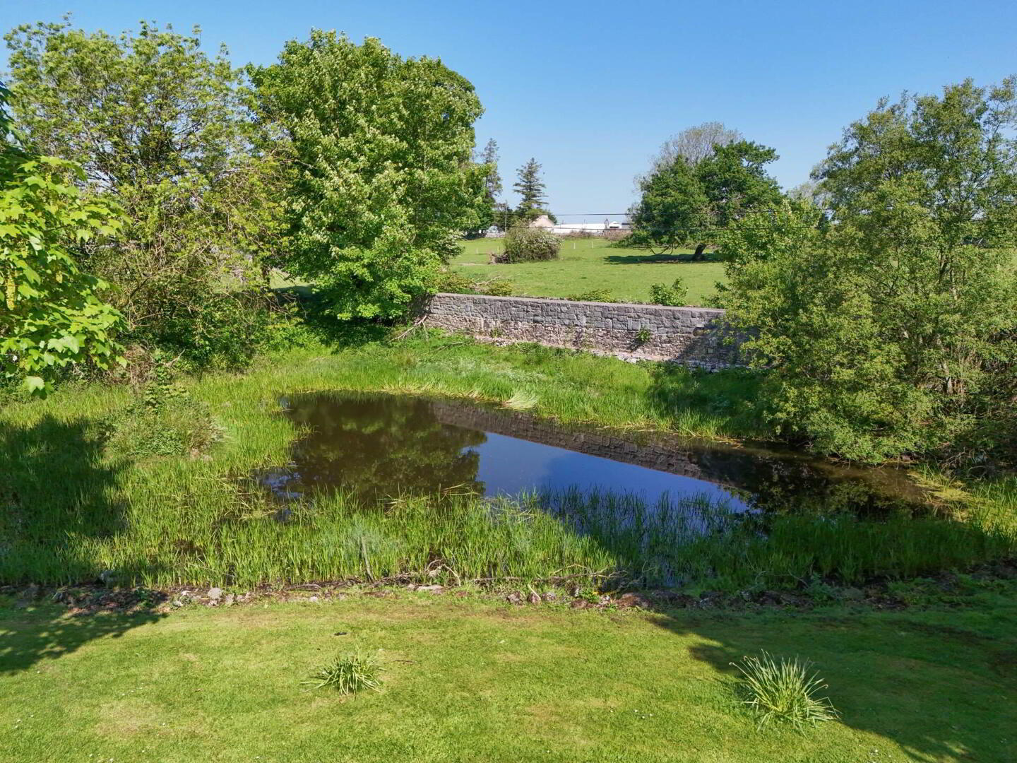 Annefield 18 of 29