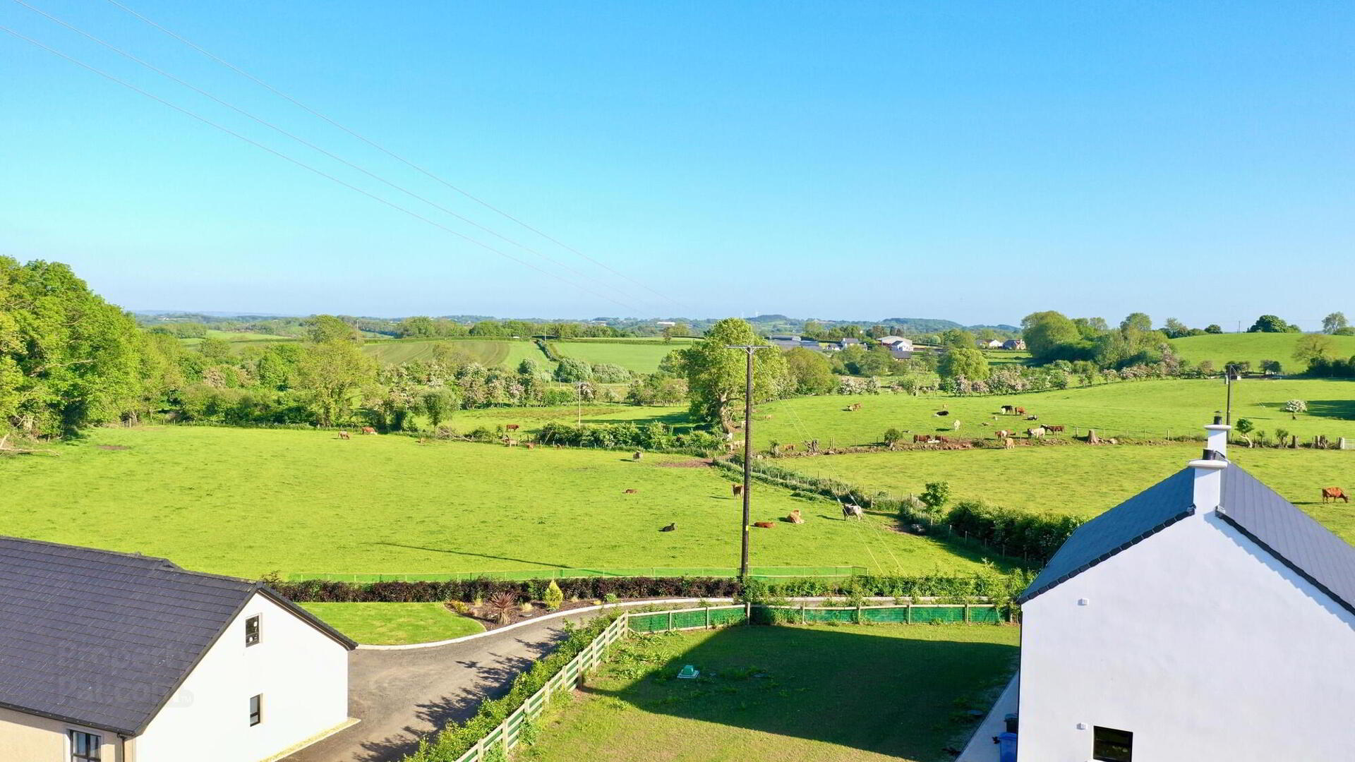 41b Ballymacilcurr Road 22 of 23