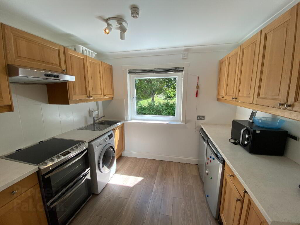 58 Rankin Drive 8 of 13