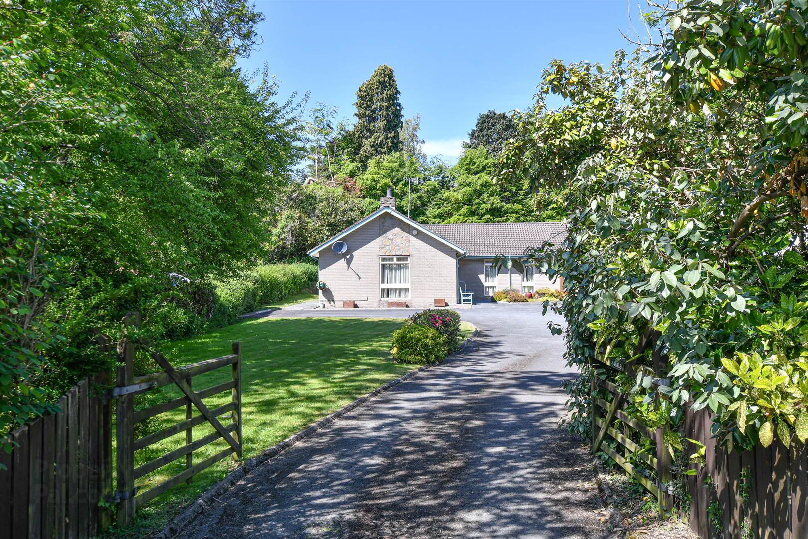 4- 6 Strangford Road 37 of 42