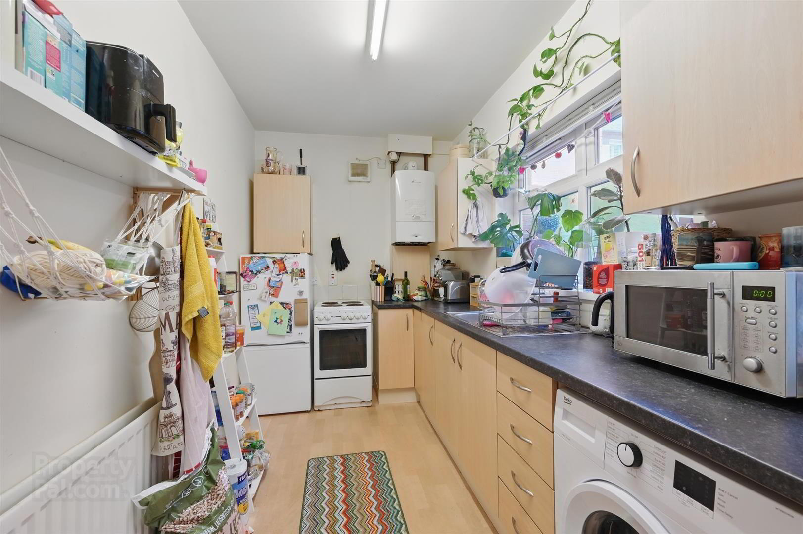 23 Wansbeck Street 6 of 14