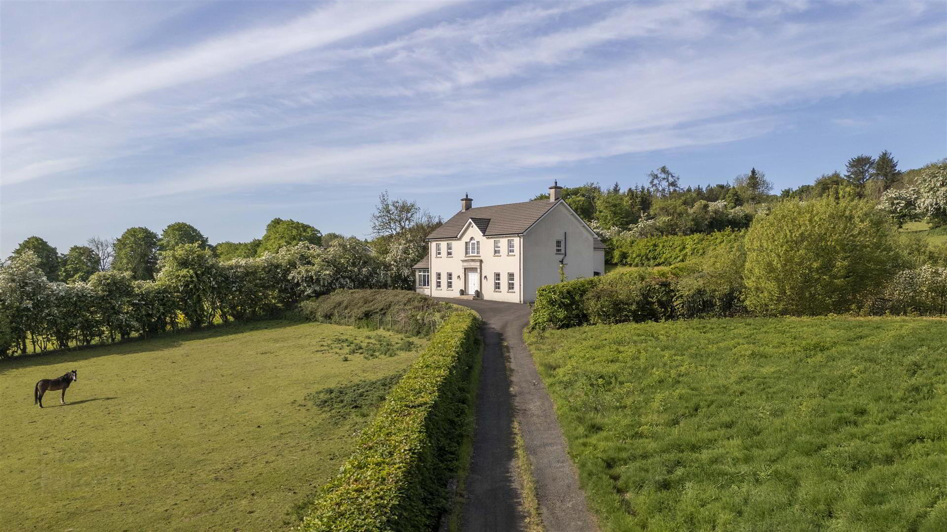 5 Ballywee Road 3 of 38