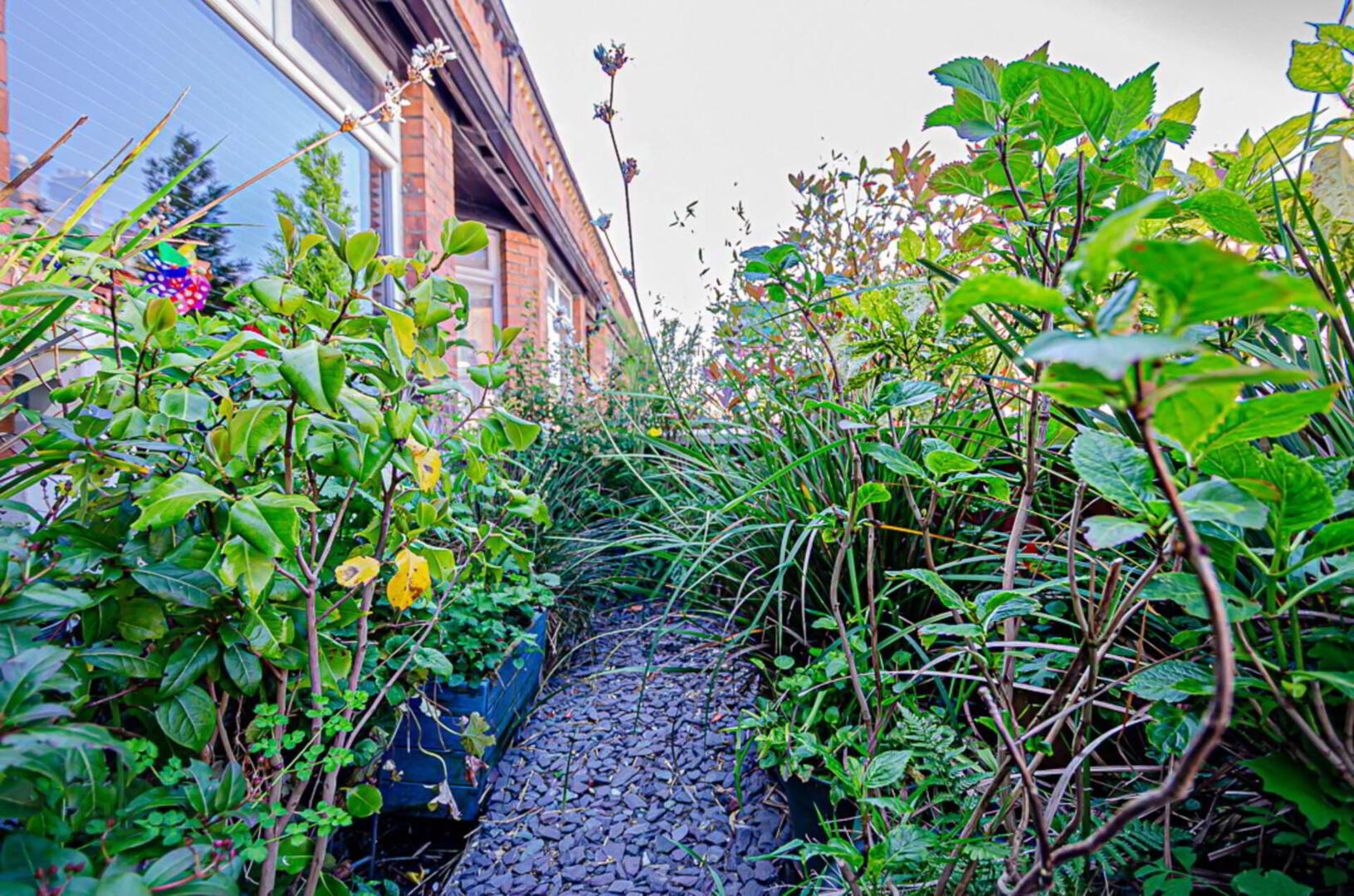 28 Dromore Street 6 of 55