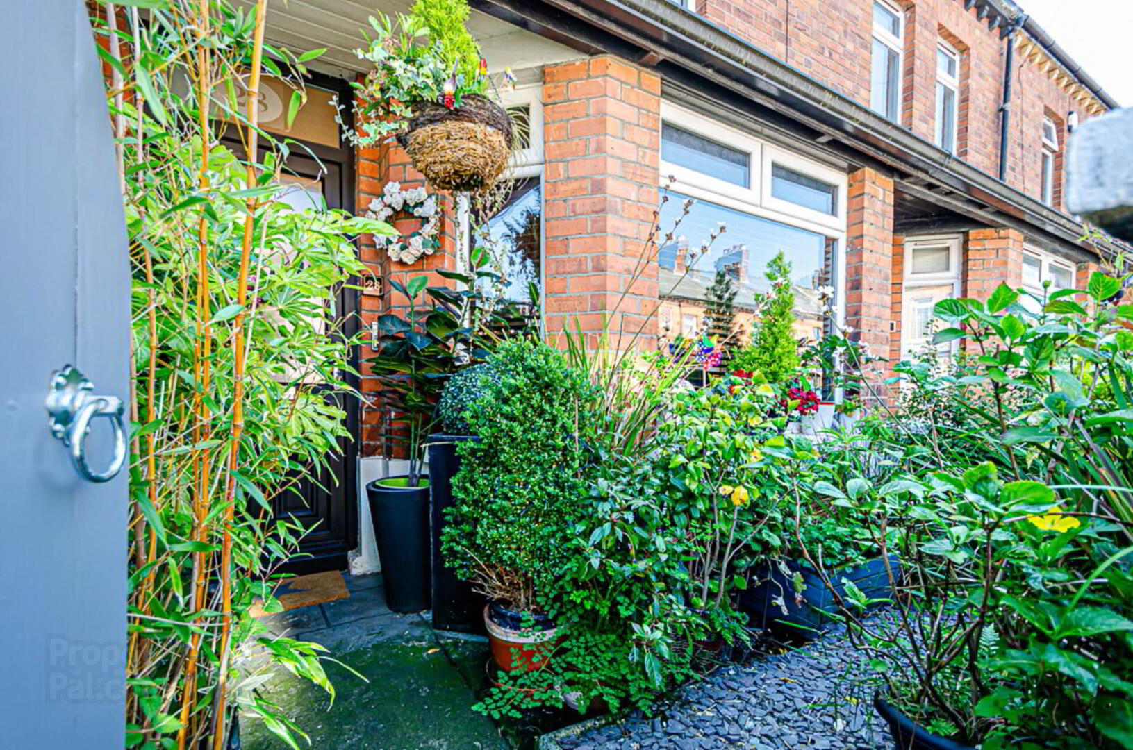 28 Dromore Street 5 of 55