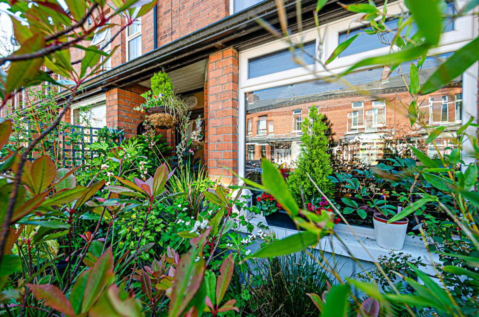 28 Dromore Street 7 of 55
