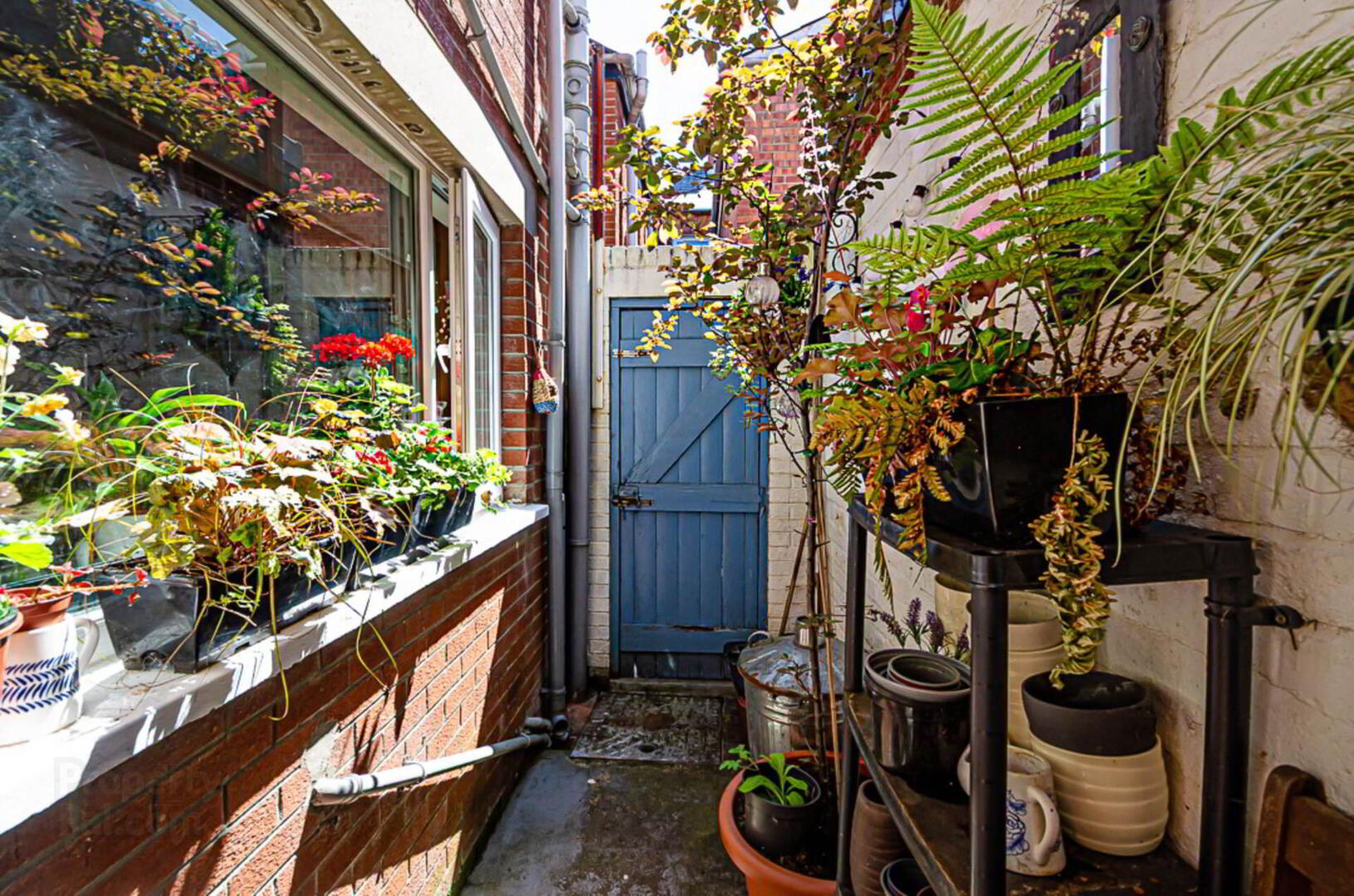 28 Dromore Street 54 of 55