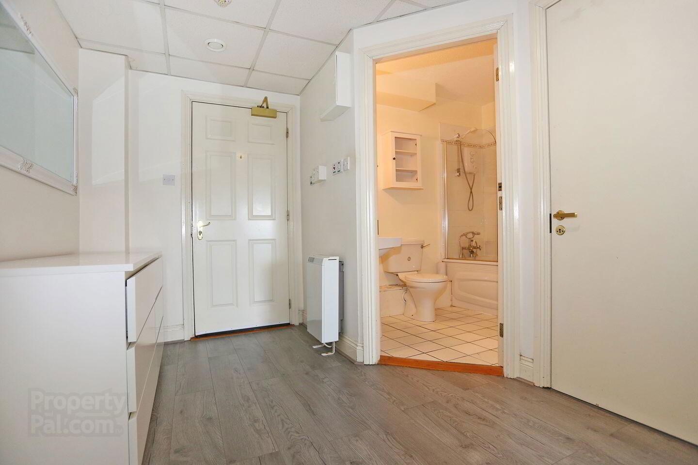 Apartment 310 Aviary House Windmill Street 11 of 15