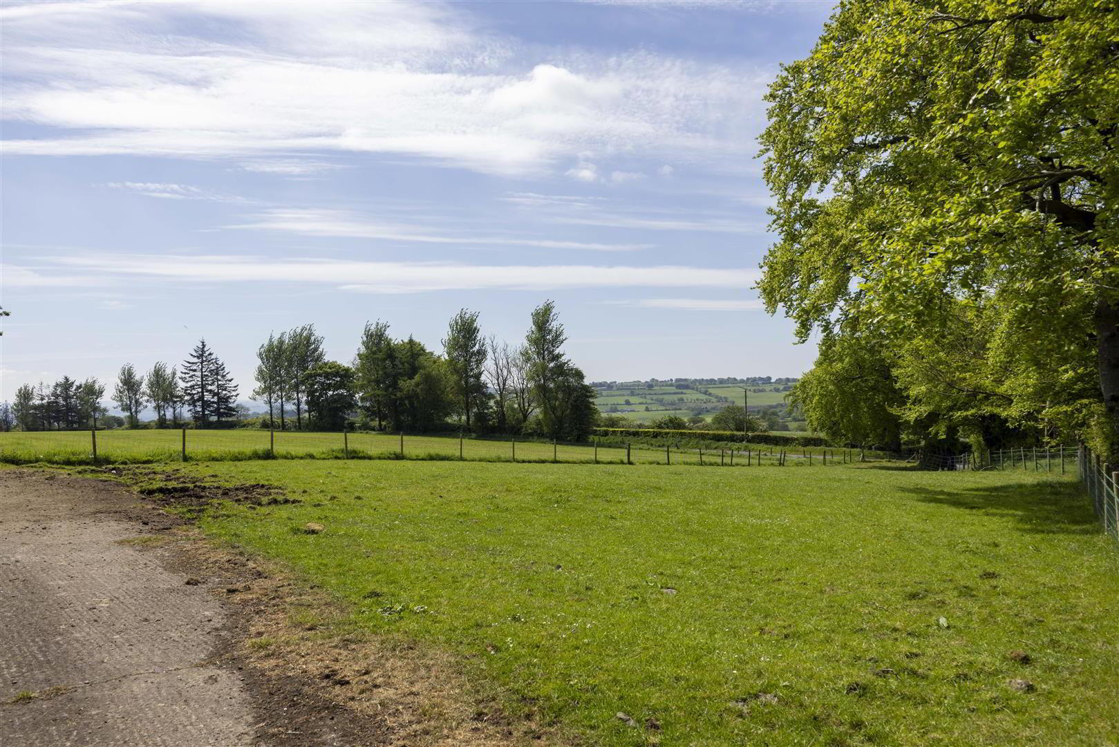 Adjacent To, Site 1, 77 Ballybracken Road 6 of 12