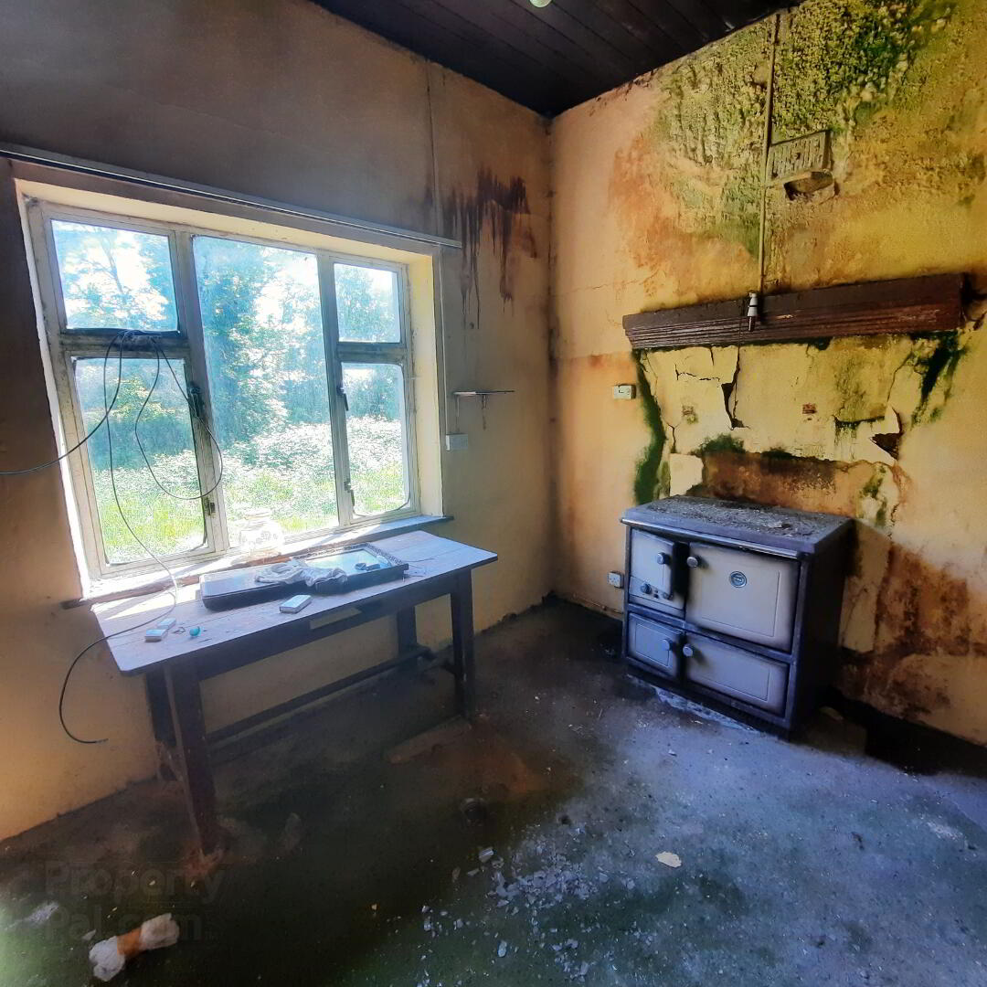 Ballyfarnagh 25 of 41
