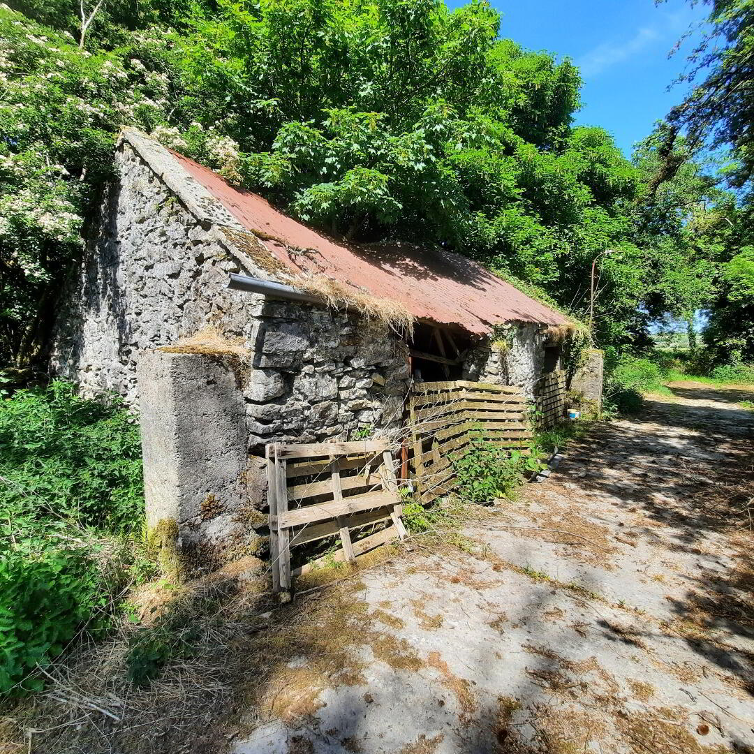 Ballyfarnagh 32 of 41