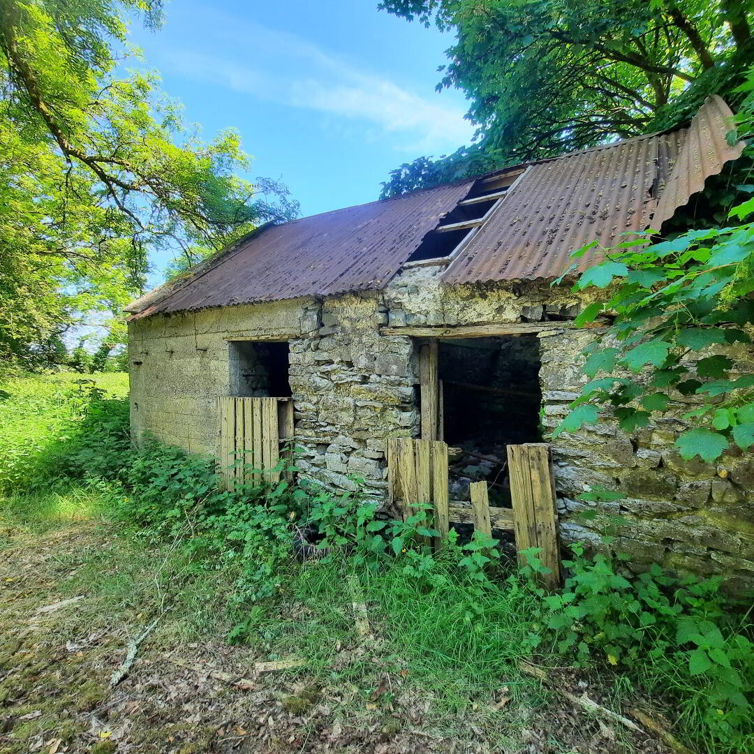 Ballyfarnagh 36 of 41