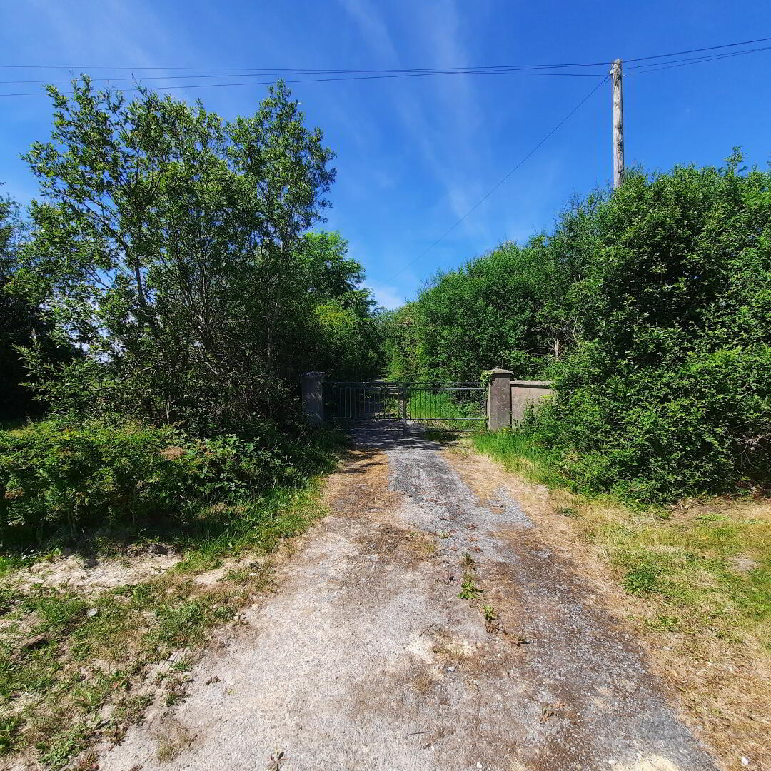 Ballyfarnagh 37 of 41
