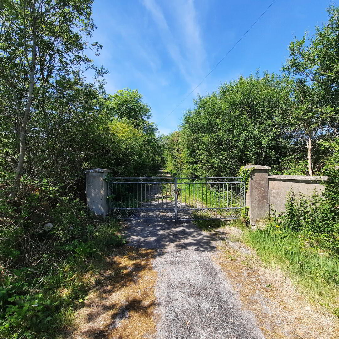 Ballyfarnagh 38 of 41