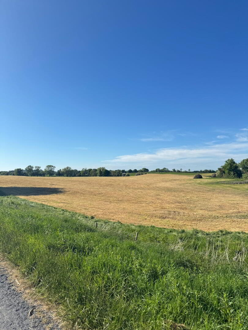 ANNASCANNON FARM, 327 ACRES Killucan 6 of 9