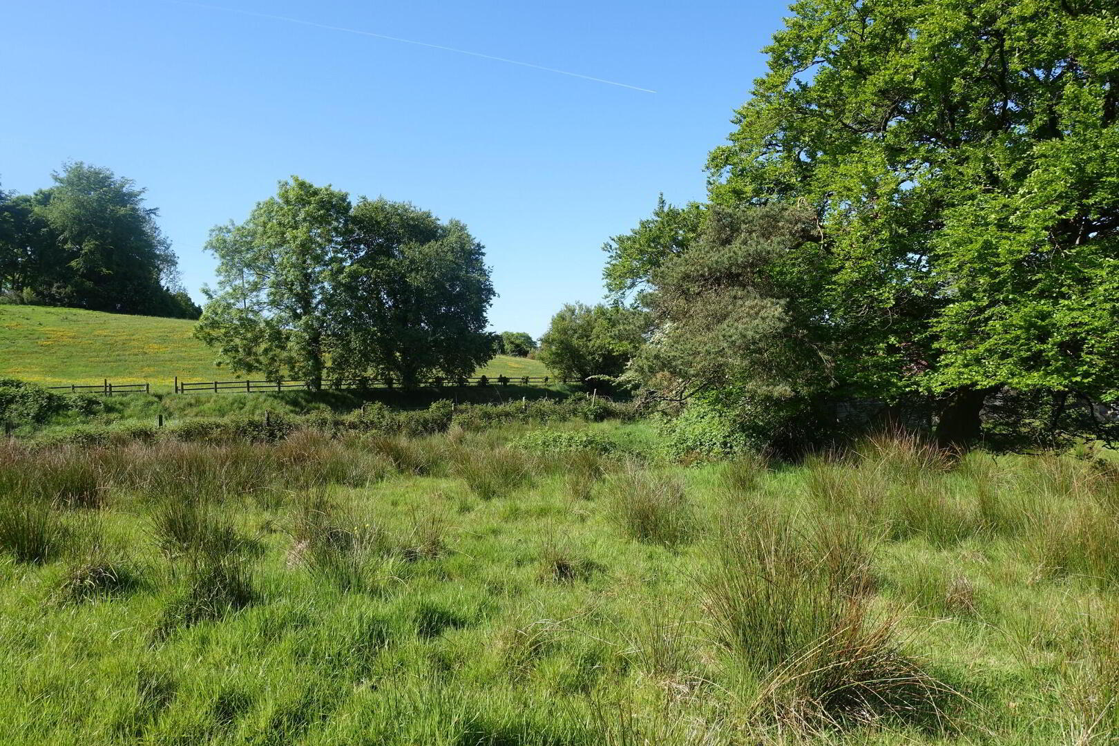30 Metres North Of, 160a Belfast Road 5 of 9