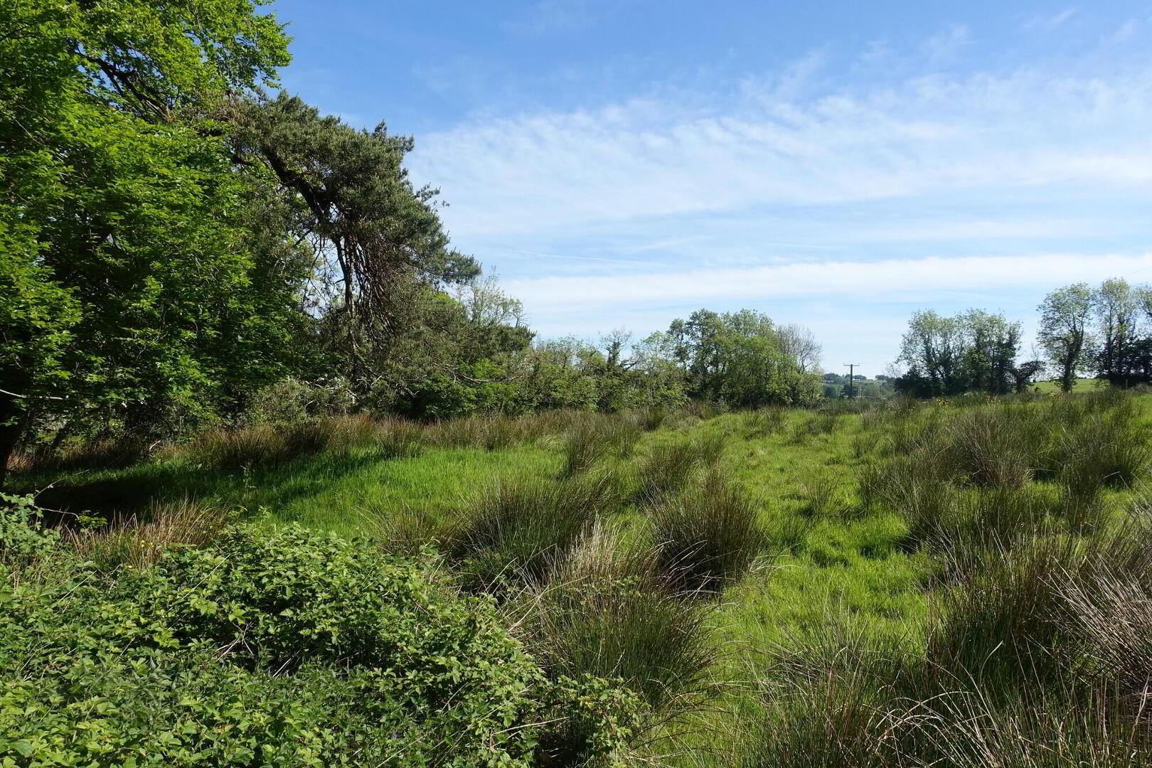 30 Metres North Of, 160a Belfast Road 6 of 9