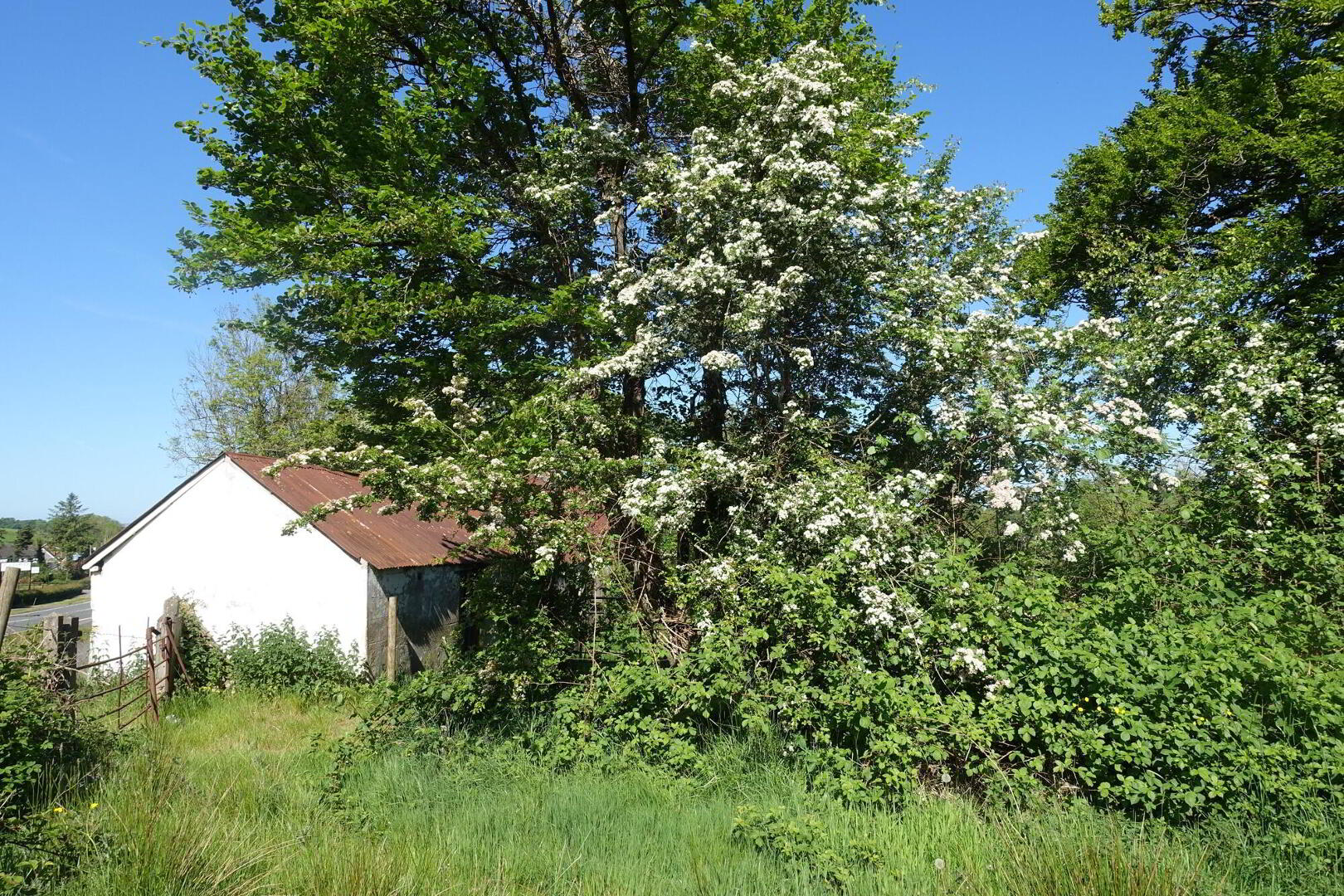 30 Metres North Of, 160a Belfast Road 4 of 9