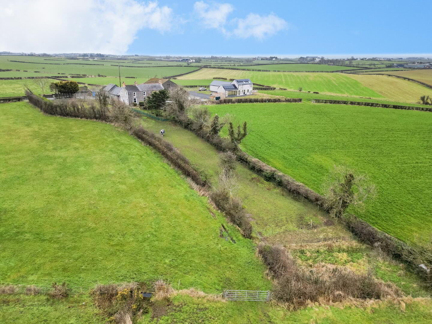 Ashvale House, 3 Ballydoonan Road 19 of 21