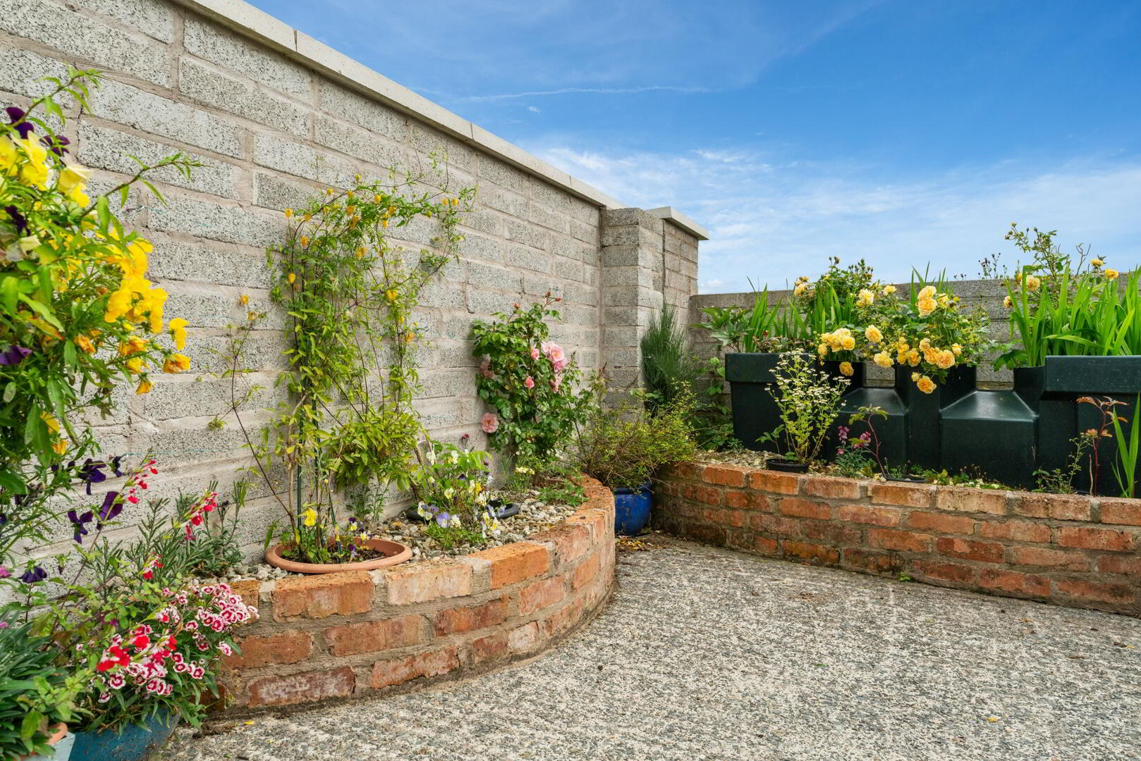 Ashvale House, 3 Ballydoonan Road 18 of 21